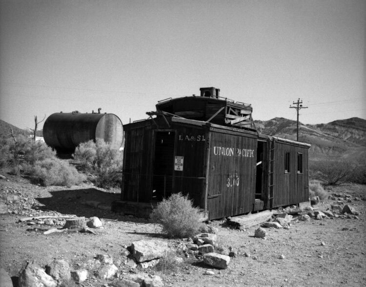 Venetia Dearden
