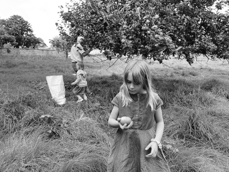 Venetia Dearden