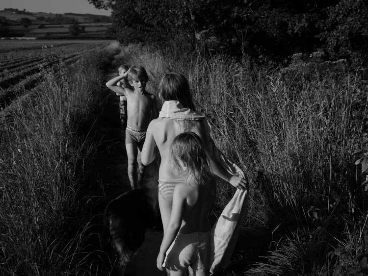 Venetia Dearden
