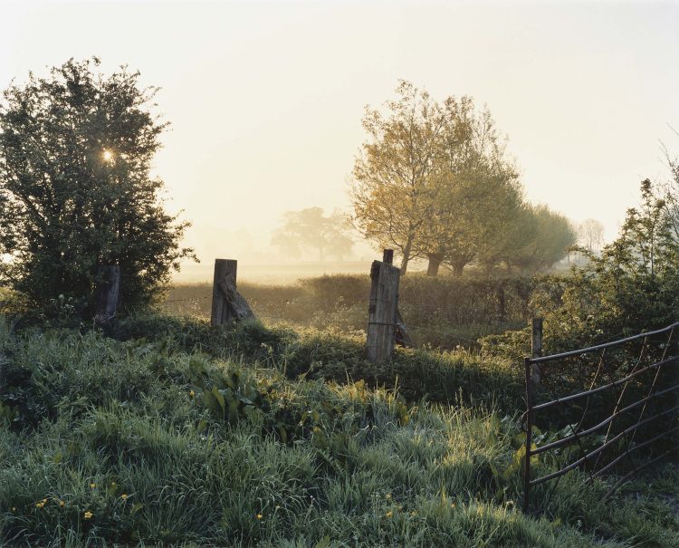 Selected image from the book, 'Somerset Stories, Fivepenny Dreams' taken on journey’s through my homeland in the west country of the UK. 2004-2008