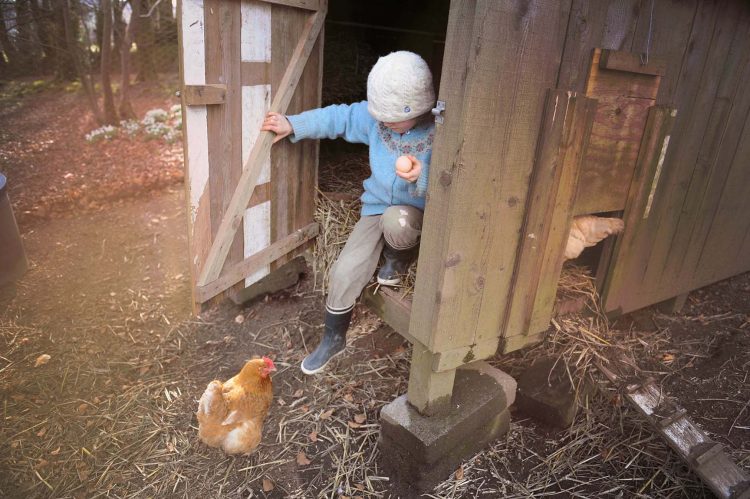 Children collect eggs. Somerset, UK
